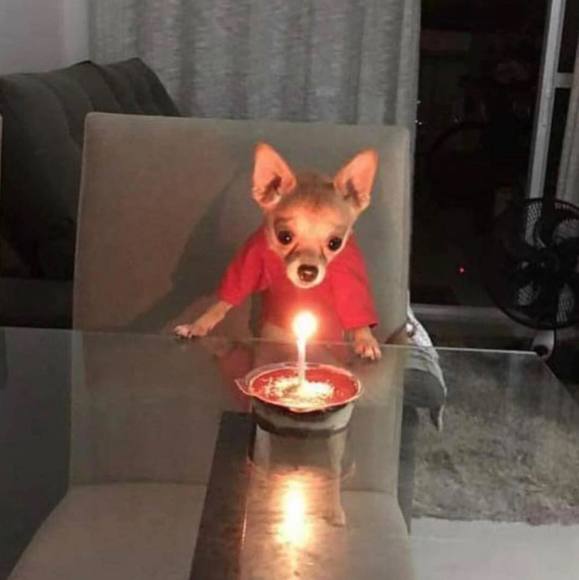 Meet your Posher, Nate - Picture 1 of 1